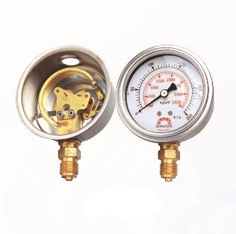Steam Liquid Filled Pressure Gauge
