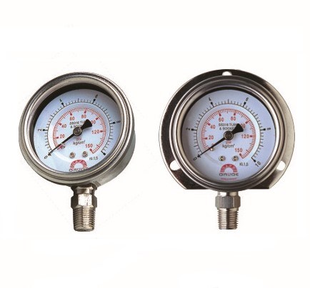 Stainless steel Pressure Gauge