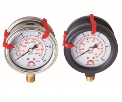 Double-side Liquid Filled Pressure Gauge