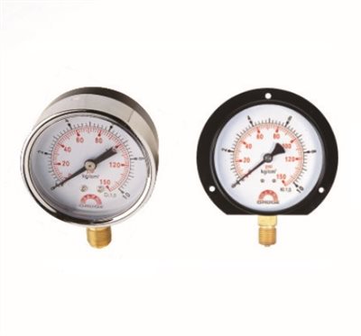 Steam Pressure Gauge